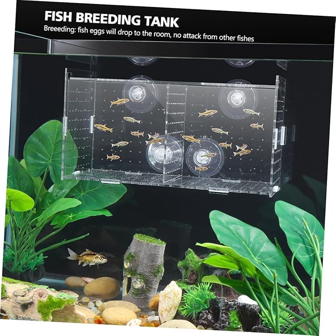 Fish Breeding Box for Aquarium Fish Tank Acclimation Box Transparent Incubator