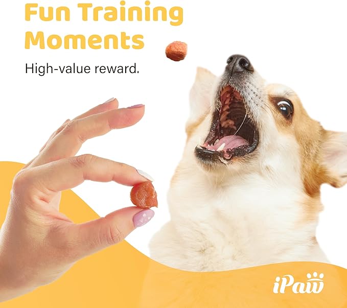 iPaw 3 Value Combo Chicken Tots Dog Treats for Puppy Training, All Natural Human Grade Dog Treat, Hypoallergenic, Easy to Digest (Chicken Tots), 3 Packs