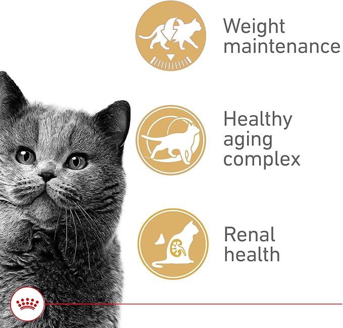 Royal Canin Feline Health Nutrition Aging Spayed/Neutered Senior Dry Cat Food, 7 lb Bag