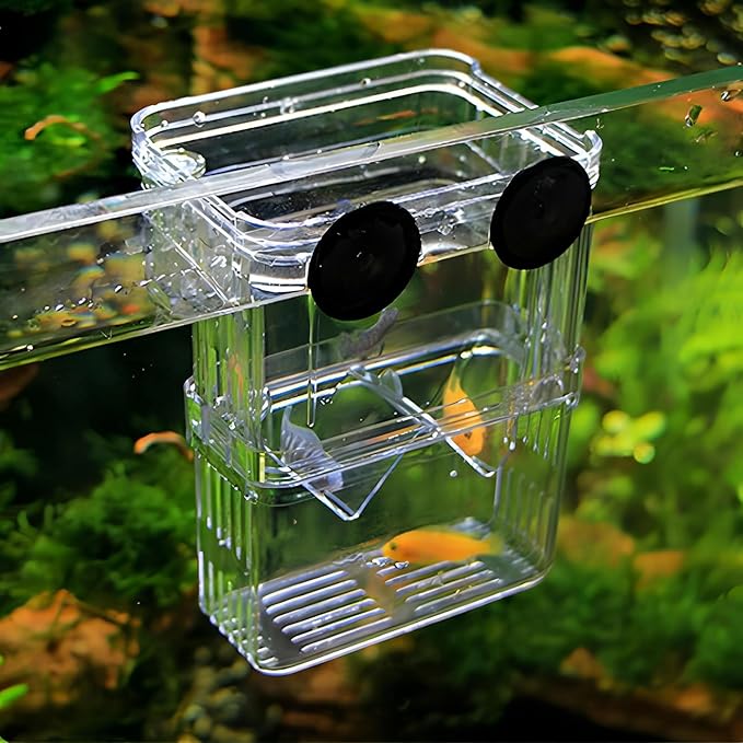 Petzilla in-Tank Aquarium Breeder Box for Fish Tank, Breeding Incubator for Small Fish Hatchery, Acrylic Divider for Shrimp Clownfish Aggressive Injured Fish (Small)