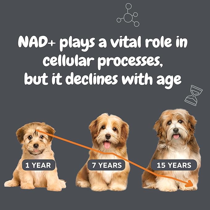 Zesty Paws NAD+ Precursor Supplement for Dogs - Niagen for Healthy Aging & Skeletal Muscle Support & Recovery - Brain, Heart, & Cellular Energy Support - Nicotinamide Riboside Chloride – 30 Sachets