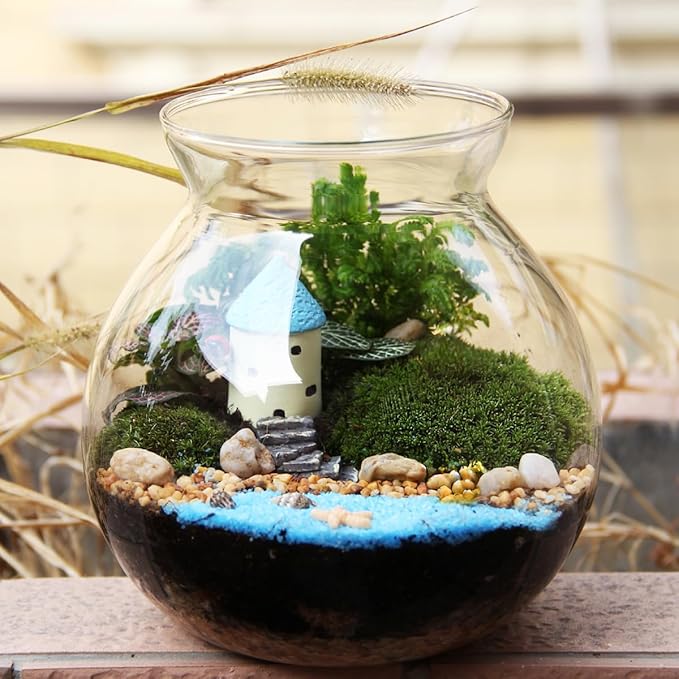 DOERDO Desktop Fish Bowl Landscape Bottle Mini Glass Terrarium Clear Glass Small Fish Tank for Small Betta Fish Plants, 7x5.9 Inch