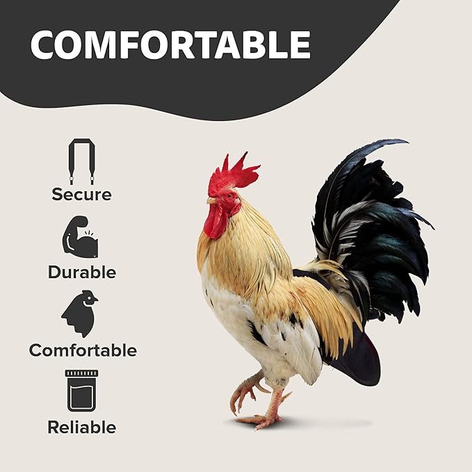 Hen Holster Bird Diaper, Wrap Around - for Hens, Roosters, Ducks, Leak-Proof Design, Comfortable Fleece Strap Bird Harness with Sewn-in Liner, Secure Hook and Loop Closure - XL, Black
