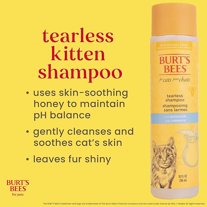 Burt's Bees for Pets Tearless Kitten Shampoo with Buttermilk and Honey, Gentle Cat Shampoo for Itchy Skin and Sensitive Coats, Easy Rinse Low Lather Formula, 99.3% Natural Origin, 10 Fl Oz - 6 Pack