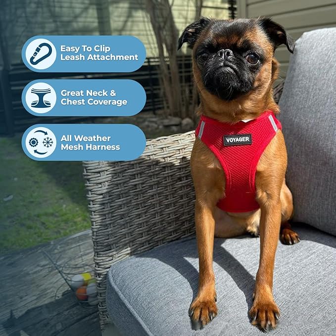 Best Pet Supplies Voyager Step-in Air Harness - All Weather Mesh, Reflective, No Pull Harness for Dogs, Cats - Secure with Hook & Loop Fastener, Buckle, Double D-Rings - Red, M