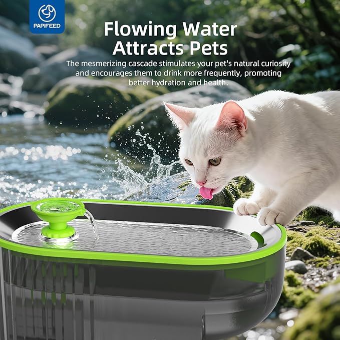 Cat Water Fountain Stainless Steel with a Silicone Mat, 84oz/2.5L Automatic Cat Water Fountain with Water Level Window and LED Light, Quiet Low Power Cat Water Bowl & Cat Water Dispenser (Green)