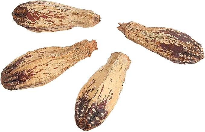 Parrot Chew Nuts, Natural Dried Nut Treats, 5 Bags - Boredom Relief, Mouth Sharpening, Home Decorative Pet Toy for Birds