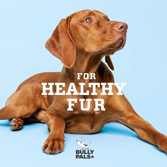 12 inch Standard Bully Sticks for Dogs - 10 Pack - 100% Natural, Single Ingredient, Easily Digestible, All Beef Dog Treats and Rawhide Free Dental Chew Bones for Dogs