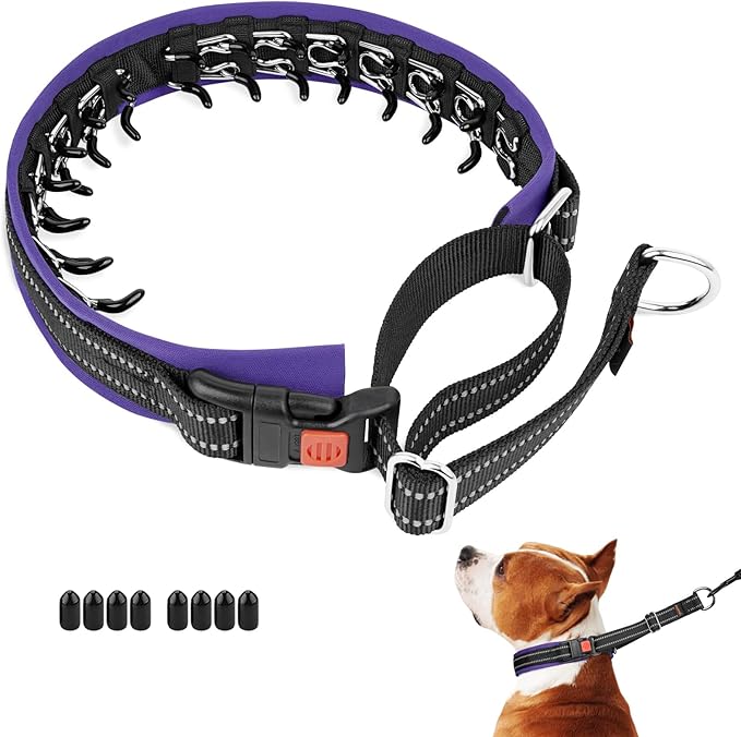 Mayerzon Martingale No Pull Collar for Medium Large Dogs, Patented Anti Pull Dog Collar with Buckle for Walking Training, with Neoprene Padding and Reflective Stitching, Adjustable(Purple Trim, M)