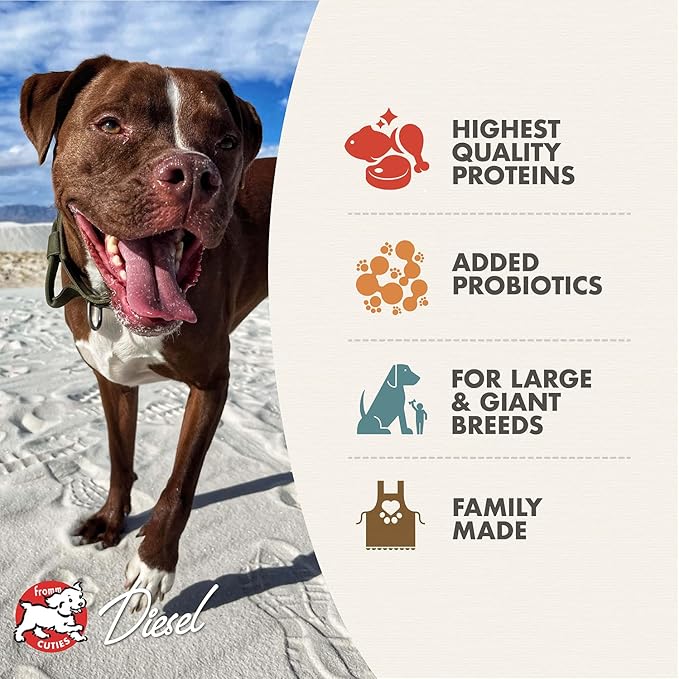 Fromm Heartland Gold Large Breed Adult Dog Food - Dry Dog Food for Large & Giant Breeds - Beef Recipe - 12 lb