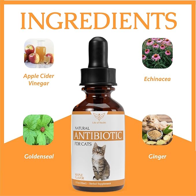Natural Antibiotics for Cats - Cat Antibiotics - Cat Antibiotic - Pet Antibiotics - Cat Immune Support - Antibiotic for Cats - Cat Multivitamin - Cat UTI Antibiotics - (2 Pack)