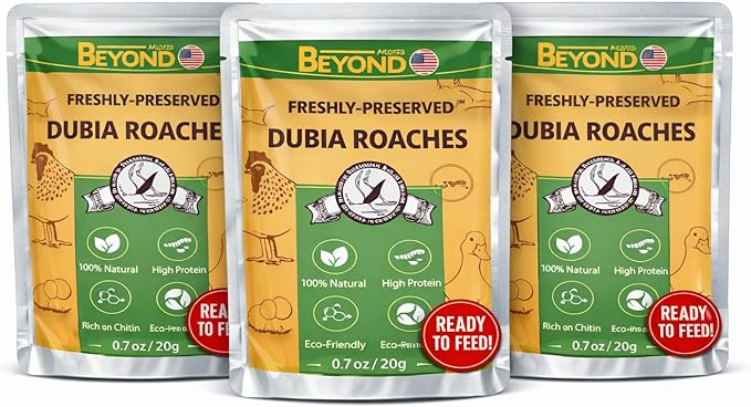 BeyondFeed™ Freshly Preserved Vac-Pack Feeder Insects – Ready-to-Feed Protein Treats for Reptiles, Birds, Fish & Aquatic Turtles (Fresh Dubia Roaches)