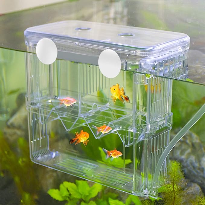 Senzeal Aquarium Fish Breeder Box Plastic Fish Isolation Breeding Box Hatching Incubator for Baby Shrimp Clownfish Guppy