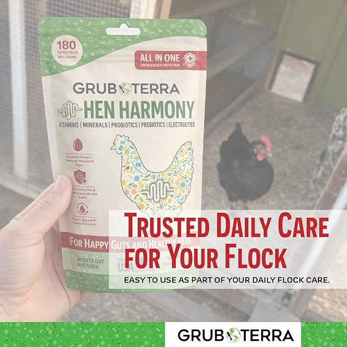 GrubTerra Hen Harmony – All-in-One Chicken Electrolytes for Water with Probiotics & Prebiotics, Daily Gut Supplement and Vitamins Supporting Hydration, Digestion, Egg Production – 180 Servings
