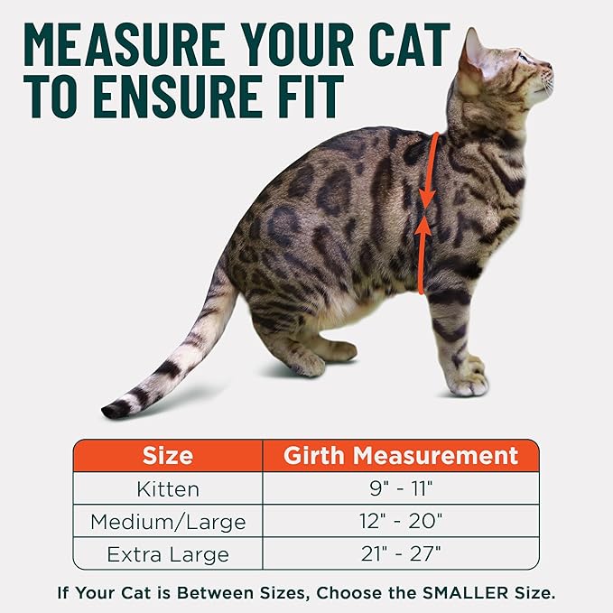 Houdini™ Escape Proof Cat Harness and Leash Set by OutdoorBengal – Tactical Vest for Walking – Comfy, Adjustable and Lightweight - Houdini Cat Harness Escape Proof for Cats + Cat Leash (Pink, M)