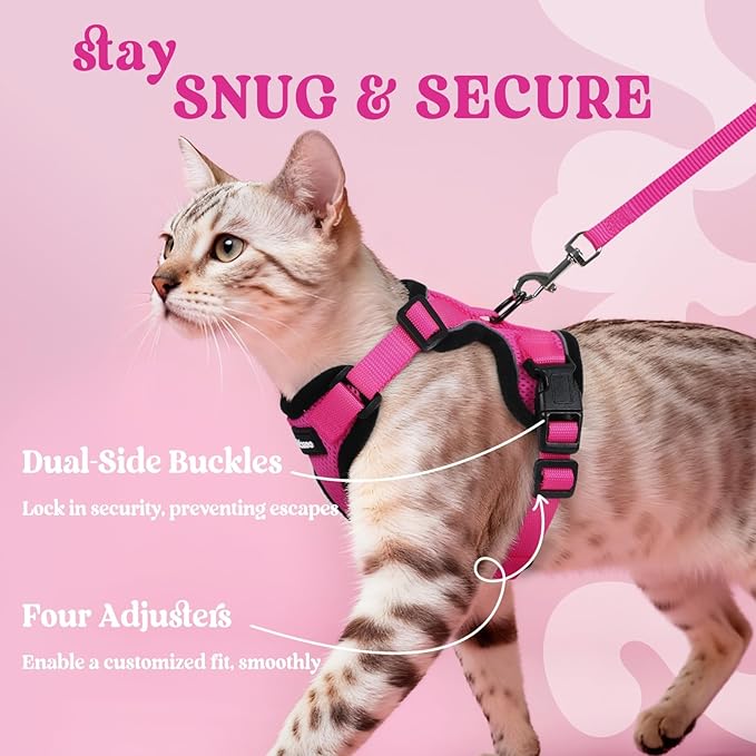 rabbitgoo Cat Harness and Leash for Walking, Escape Proof Soft Adjustable Vest Harnesses for Cats, Easy Control Breathable Reflective Strips Jacket, Rose Red, XXS