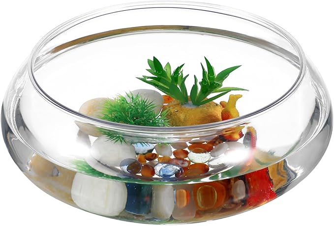 NUOBESTY Transparent Aquarium Tank 9.52X9.52X3.93In Plastic Desktop Fish Bowl for Home Office Decor with Plants Betta Goldfish