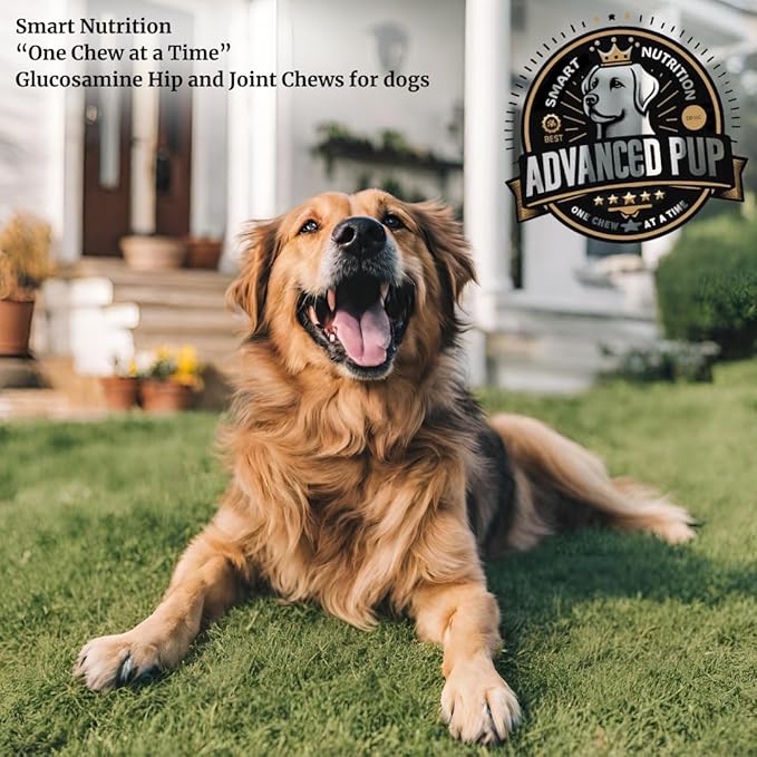 Hip and Joint Supplement - Natural Glucosamine Chondroitin MSM & Turmeric for Dogs - Dog Hip & Joint Care to Heal Dog Joint Stiffness & Inflammation - Tasty Bacon 90CT