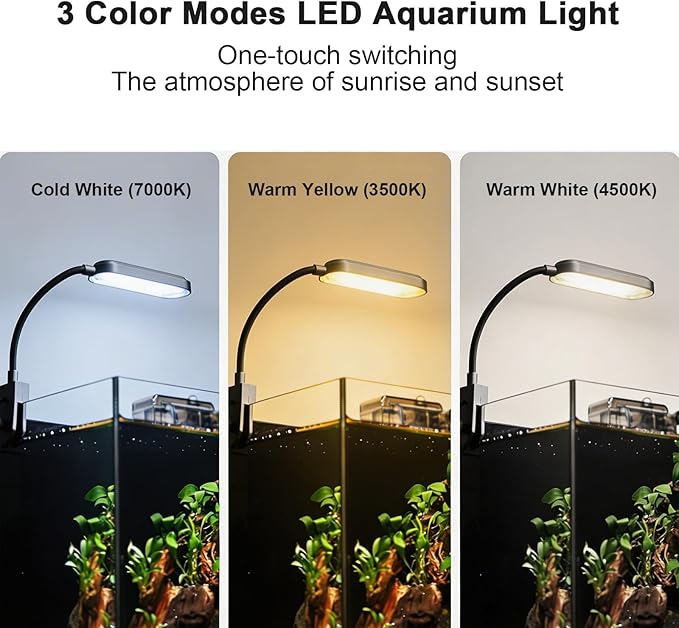 Fish Tank Kit,3 Gallon Small Aquarium,Ultra-Clear Nano Aquarium,Betta Fish Tank,Suitable for Small Fish Tank,Aquarium Starter kit,Desktop Fish Tank (Black Background)