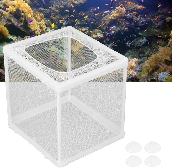 Aquarium Breeder Box with Suction Cups Partition Design Detachable Isolation Hatchery for Fish Fry Tank Breeding(S)