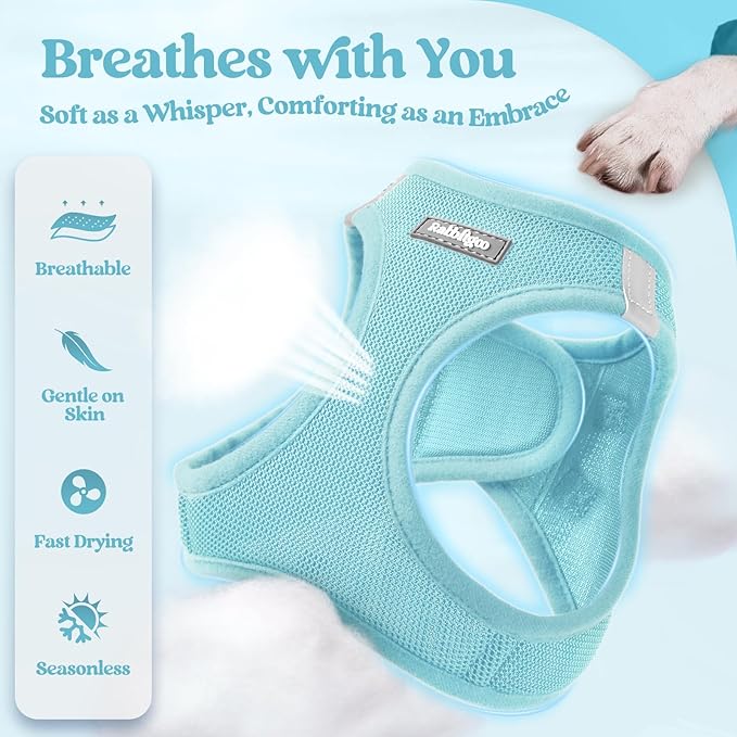 rabbitgoo Dog Harness Small Sized and Leash Set, Step in Soft Light Puppy Vest, Breathable Mesh Pet Harness, Reflective for Safe Easy Walking, Mint Blue XXXS