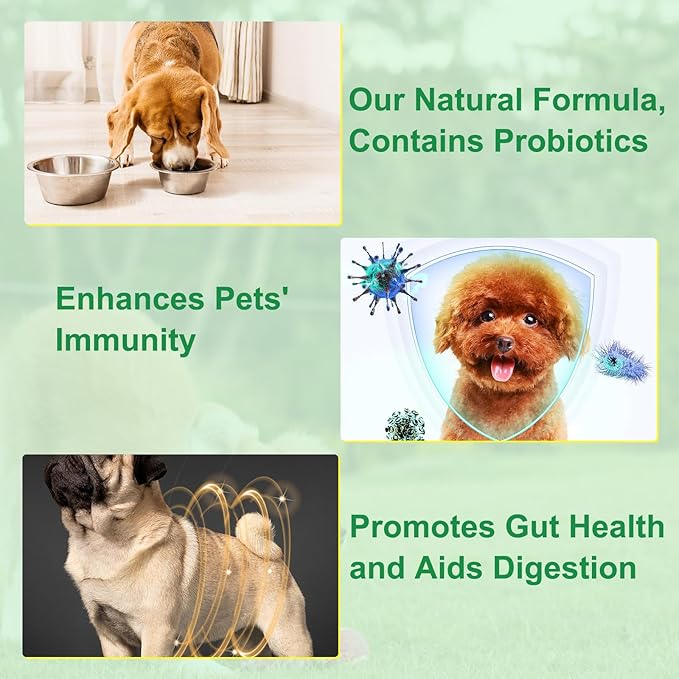 Specifically Formulated for Dogs, Natural Intestinal Defense for Dogs, Herbal Cleanse, Digestive Support for All Dog Breeds, Puppy & Kitten, Gut Health, Supplement Drops, Advanced Broad Spectrum
