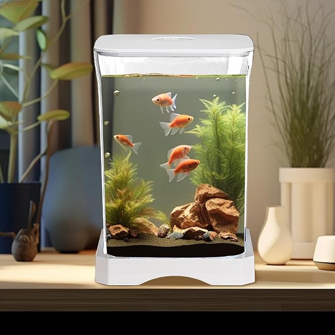 Glass Betta Kit, Glass 5x5x5 Inch | Elegant Glasss Aquarium with Stackable Design, Desktop, Countertop, Stackable Cube Tank for Home Office School