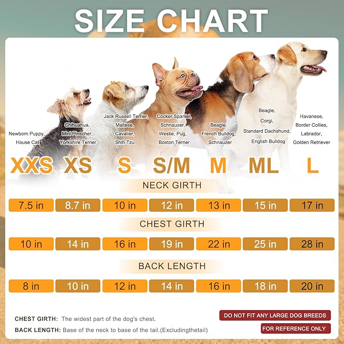 BEAUTYZOO Dog Hoodie for Small Medium Large Dogs, Winter Fall Warm Dog Clothes for Puppy S M Sized Dogs Girl Boy, Dog Sweater Shirt Hoodies with Pocket Bulldog Pitbull Cat Clothing Coat, Wine Red ML