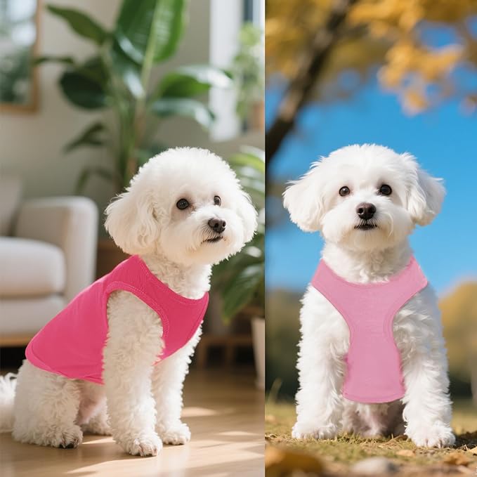 4 Pcs Cat Shirts Solid Color Dog Clothes Summer Sleeveless Pet T Shirts for Small Pet Dogs Cat (Black,Pink,Grey,Rose red, X-Small)