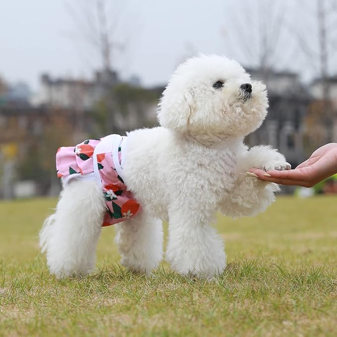 Reusable Dog Diapers Female 3 Pack Washable Premium Highly Absorbent Doggie Diapers, Flexible Puppy Diapers, Durable Leak-Proof Fruit Dog Diapers for Period Heat Incontinence Puppy Training, XS