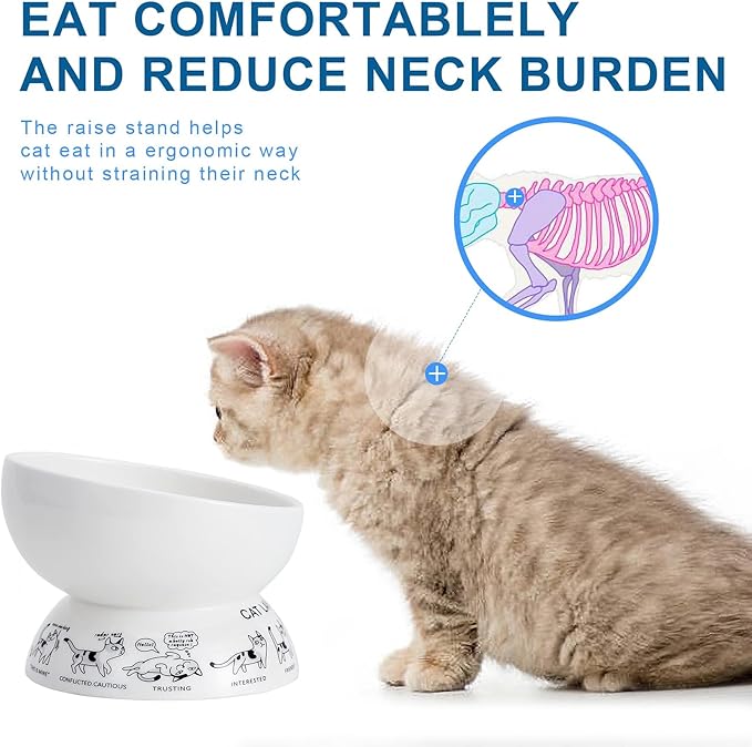 Ceramic Raised Cat Bowls | Tilted Elevated Bowl for Food and Water | Small Dog Bowl With Anti-Slip Silicone Pet Food Mat | 2 Pack Black Set