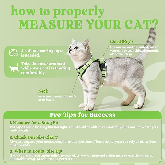 rabbitgoo Cat Harness and Leash for Walking, Escape Proof Soft Adjustable Vest Harnesses for Cats, Easy Control Breathable Reflective Strips Jacket, Light Green, S