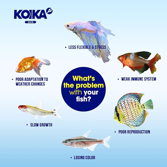 KOIKA BACM Natural Color Enhancement for Fish, Combination of Probiotic & Multi-Vitamins for Aquarium A, B6, B2, Pleasant Smell (BACM, 105ml)
