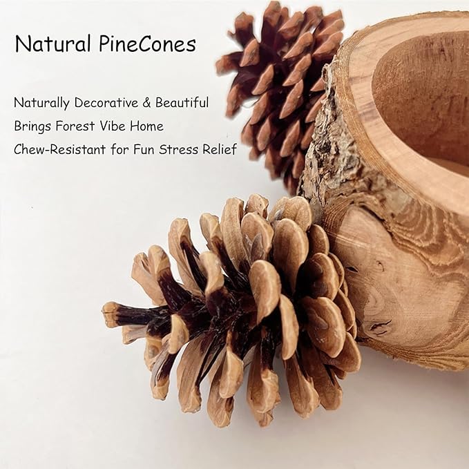 Bird Perch with Feeder for Cage & Chew Toys Pinecones - Bird Cage Accessories 100% Natural & Durable for Cockatiel, Conure, Budgie, Lovebird, Parakeet - Parrot Food Treats Bowl for Foraging