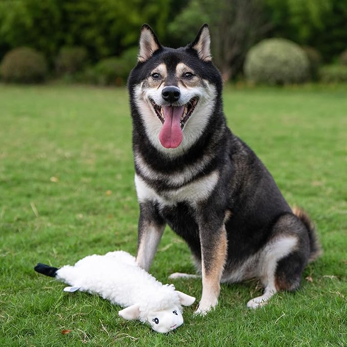 Best Pet Supplies Squeaky Dog Toys with Soft Durable Fabric for Small, Medium and Large Pets Interactive Toy for Indoor Play, Supports Active Biting and Play - Sheep, Large