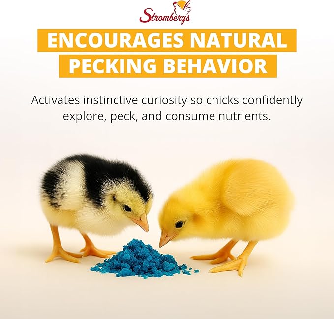 Stromberg's Peck n' Grow, Balanced Hatchling Nutrition Supplement with Probiotics and Essential Vitamins, Instinct-Promoting Chick Starter Formula for Strong Early Growth, 0.28 oz Pack for 100 Chicks