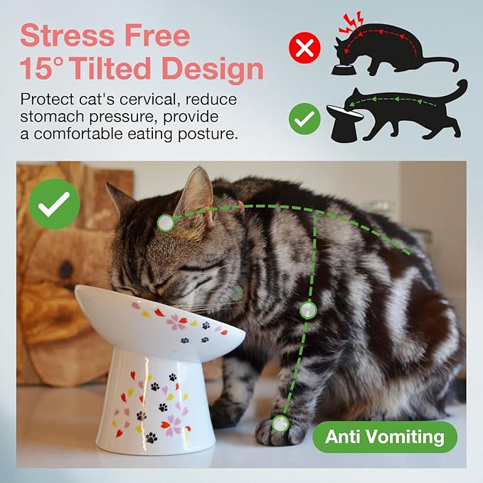 Necoichi Raised Cat Food Bowl – Ceramic Elevated 15° Tilted Bowl for Whisker Fatigue, Dishwasher & Microwave Safe, Non-Slip Anti-Vomiting Ergonomic Design (Sakura Floral, Extra Wide, 1.5-Cup Capacity)