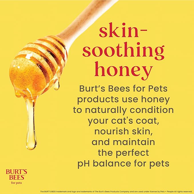 Burt's Bees for Pets Cat Dander Remover Wipes, Unscented Soft Grooming Cloths with Colloidal Oat Flour + Aloe, Helps Reduce Flaking Between Baths for Cats & Kittens, 50 Count - 6 Pack