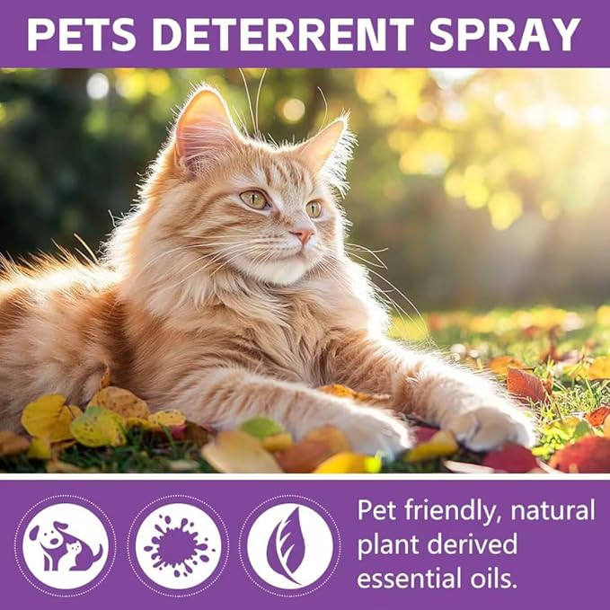 Cat Deterrent Spray for Indoor and Outdoor, Cat Scratch Deterrent for Furniture Protection, Anti Marking Deterrent for Sofas and Carpet, Natural Ingredients