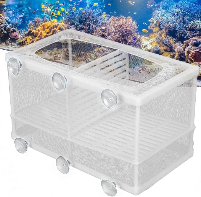 Aquarium Breeder Box with Suction Cups Partition Design Detachable Isolation Hatchery for Fish Fry Tank Breeding(L (with Partition))