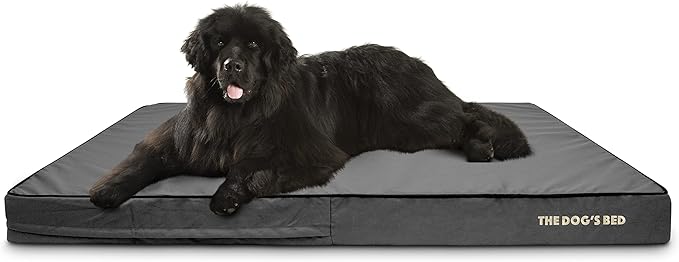 The Dog’s Bed Orthopedic Memory Foam Dog Bed Mattress, Oxford Fabric, Grey with Black Trim, XXXL, 6-Inch