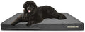 The Dog’s Bed Orthopedic Memory Foam Dog Bed Mattress, Oxford Fabric, Grey with Black Trim, XXXL, 6-Inch