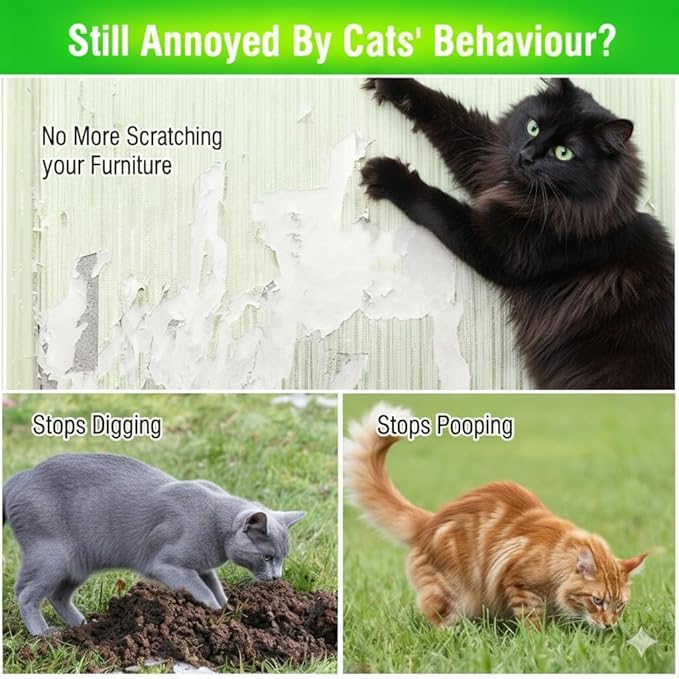 8pcs Cat Repellent Outdoor to Keep Cats Away, Natural Peppermint Oil Cat Deterrent Outdoor and Indoor, Keep Cats Out of Yard, Protect Your Yard and Furniture