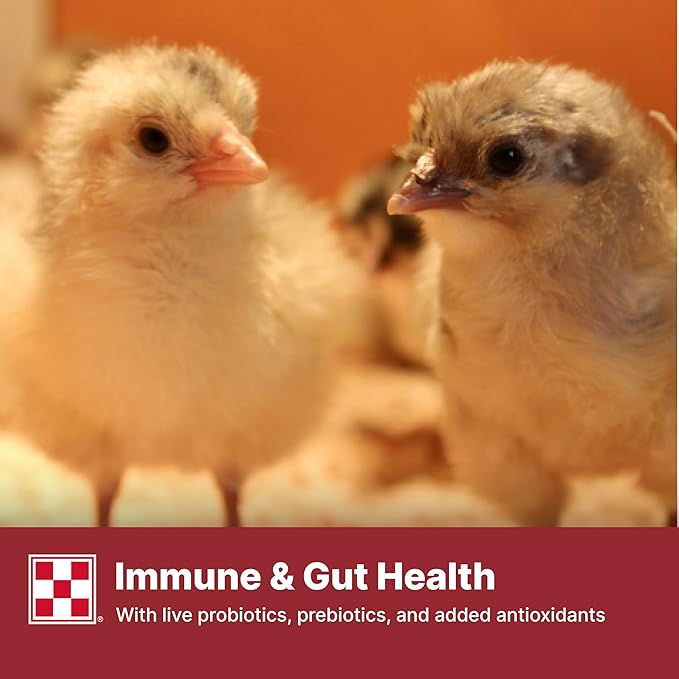 Purina Start & Grow | Nutritionally Complete Medicated Chick Feed Crumbles | 5 Pound (5 lb.) Bag