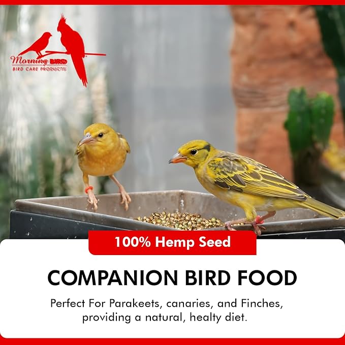 Morning Bird Hemp Seeds 4.5 lbs (3-Pack, 1.5 lbs Each) – High in Natural Protein, Healthy Fats, Omega 3 and 6 Fatty Acids, Delicious Natural Flavor, Supports Feather Growth & Overall Health