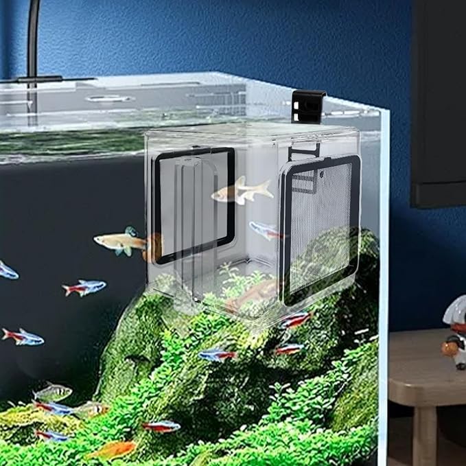 Use Breeder Box - Acrylic Fish Breeding Container, Durable Breeder Divider Incubator, Transparent Hatchery Accessory | Shrimp Guppy Seawater Isolation Tank for Home Aquarium Propagation Hatc