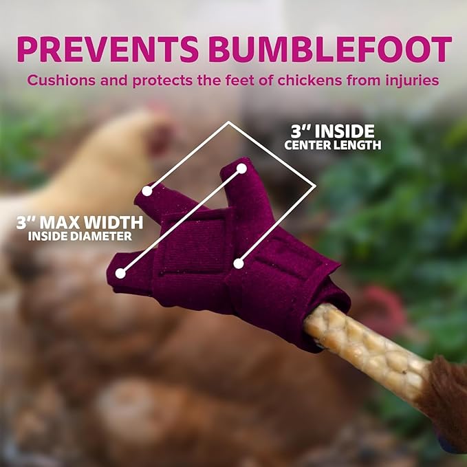 Chicken Shoes for Injured Feet – Protective Neoprene Footwear for Chicken, Open-Toe Design for Bumblefoot Relief, Made in USA (Chicken Shoes, Pink, Medium Chickens)