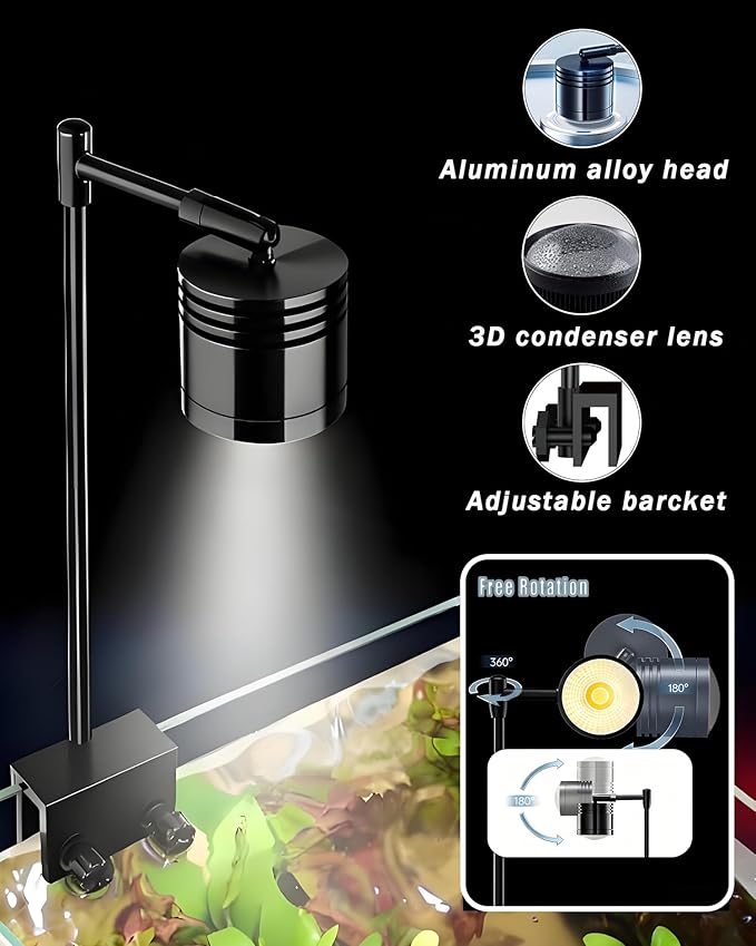 Fish Tank, 3 Gallon Ultra-Clear Glass Fish Aquarium, with Separator Plate for Betta, Fish Tank Starter kit with Filter and Adjustable Led Light, White