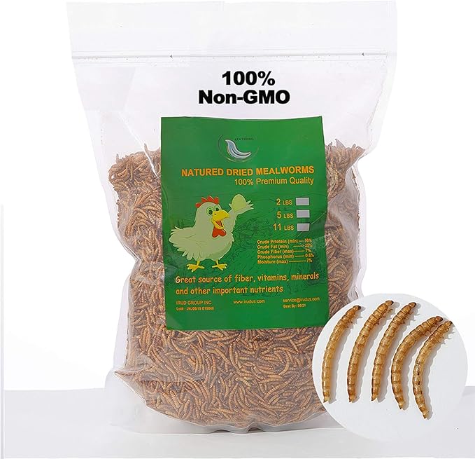 Non-GMO Dried Mealworms 6LB, 100% Natural Large Size No Moisture,Treats for Birds Chickens Hedgehog Hamster Fish Reptile Turtles (6lb)