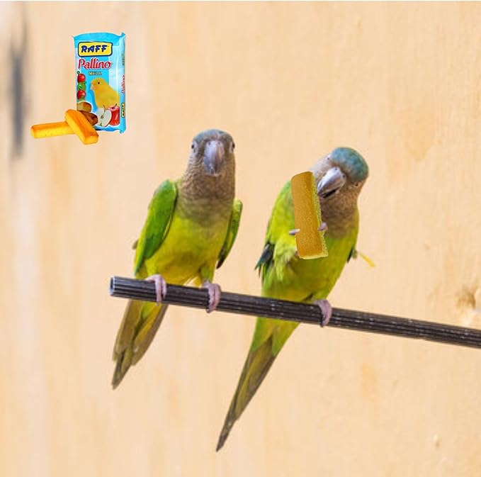Pallino Mela Biscuits for Birds – 2 Pack Healthy Bird Food, Snack Sticks for Canaries, Finches, Parakeets, Cockatiels & Parrots – Apple Flavored for Canary Treats
